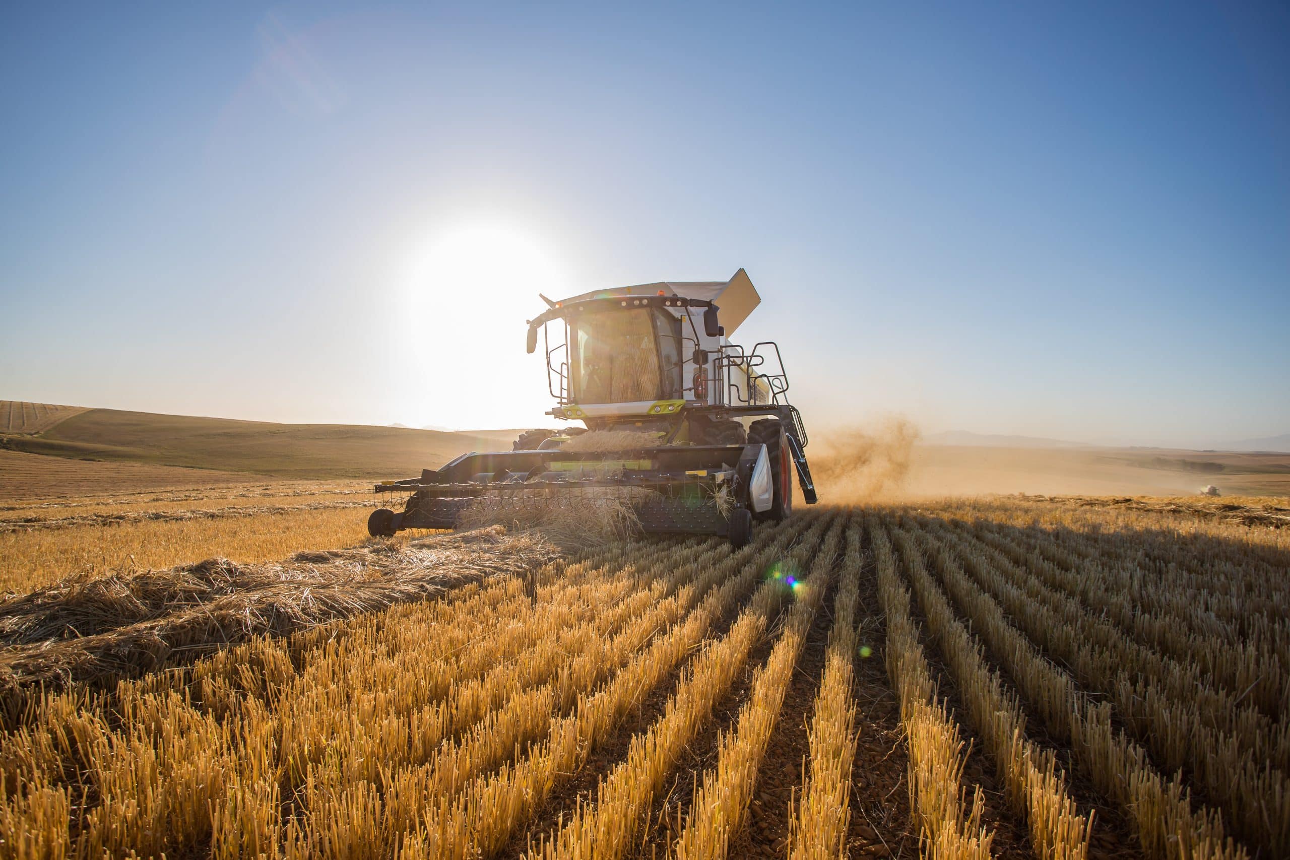 Farm & Agriculture
